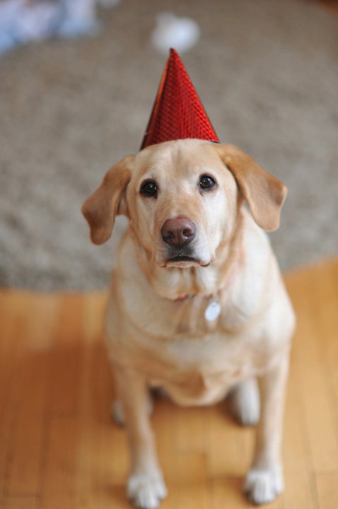 197289_1808550967623_1055415592_2108556_9761_n